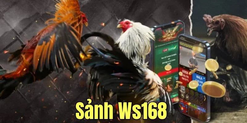 Đá gà WS168 sclub88